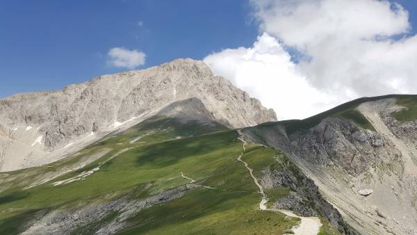 CORNO GRANDE
