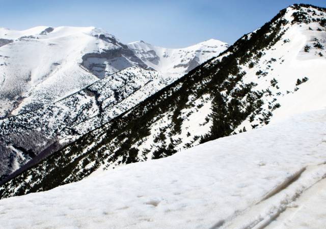 MAIELLA L'ALTRA NEVE