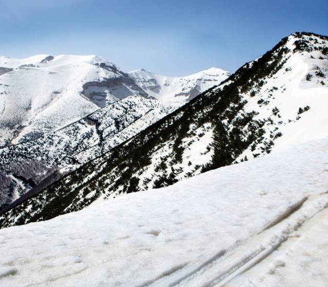 MAIELLA L'ALTRA NEVE