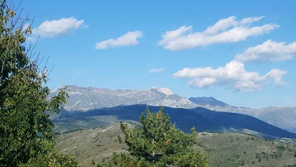 SULLE ORME DEL MAMMUT