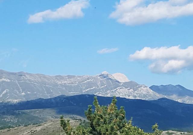 SULLE ORME DEL MAMMUT