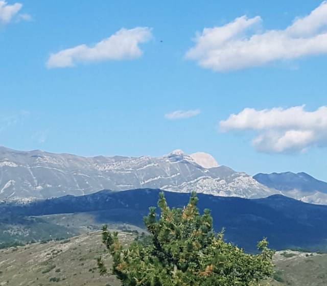 SULLE ORME DEL MAMMUT